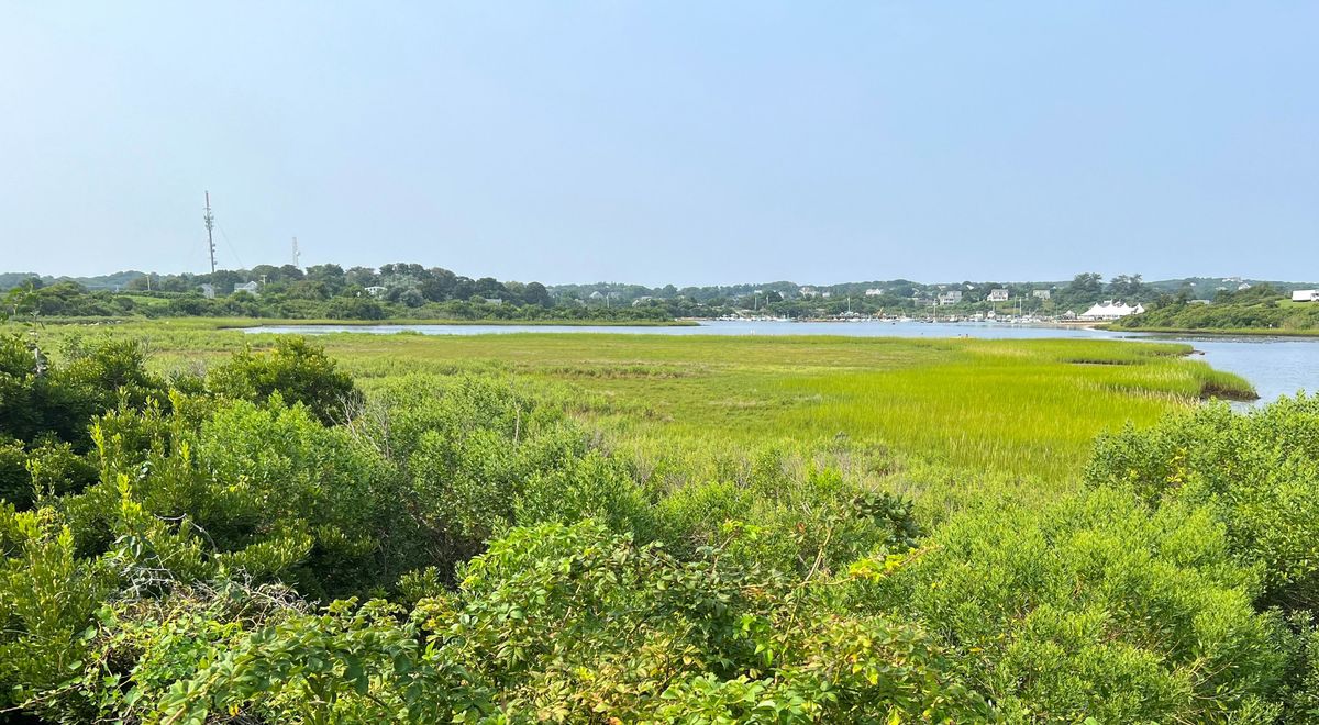 Secrets-Of-Block-Island8217s-Coastal-Marshes secrets-of-block-islands-coastal-marshes