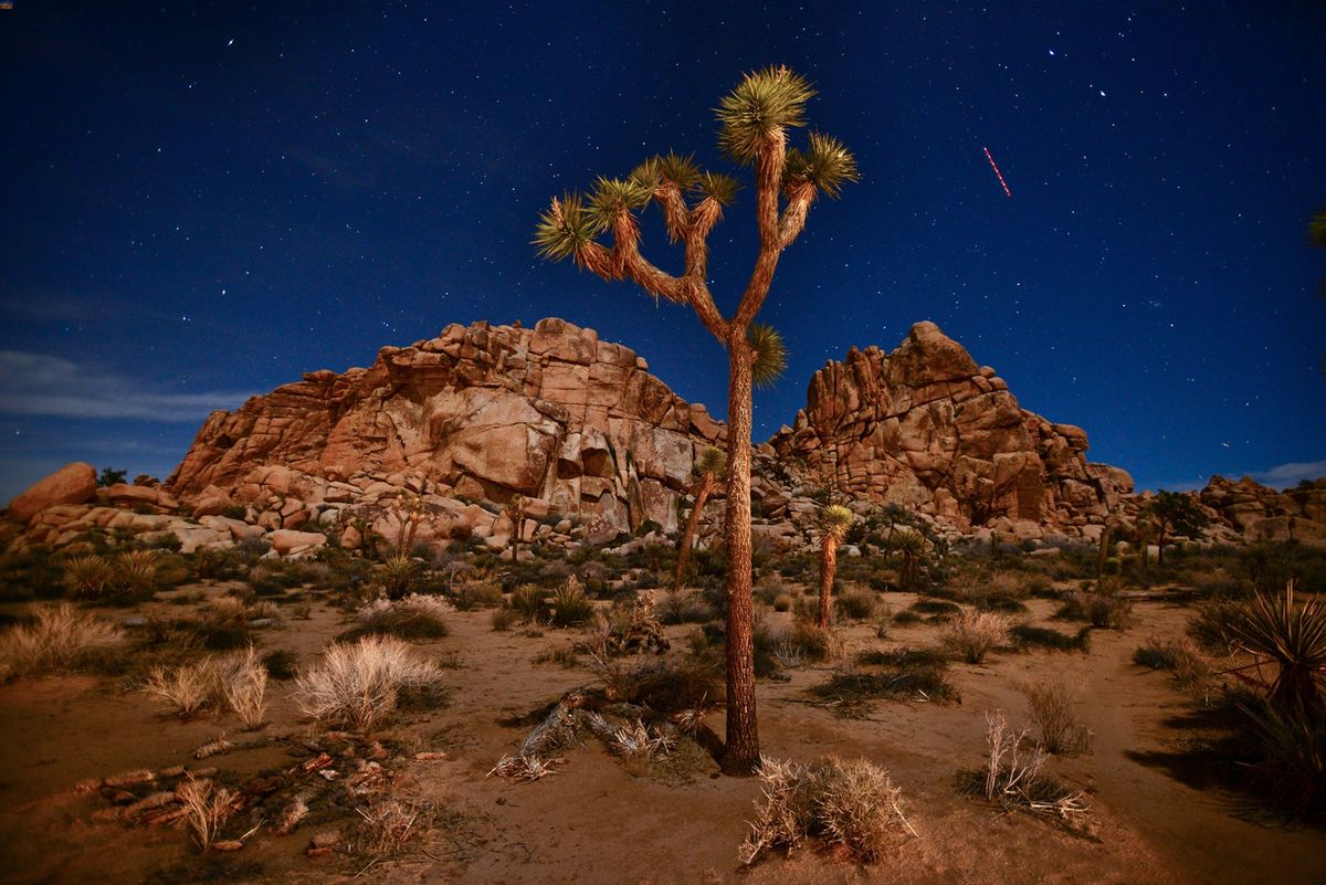 Secrets-Of-California8217s-Joshua-Tree-Rock-Gardens secrets-of-californias-joshua-tree-rock-gardens