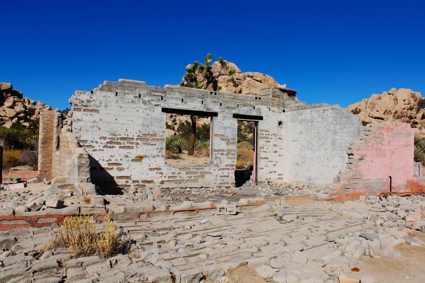 secrets-of-californias-joshua-tree-washes