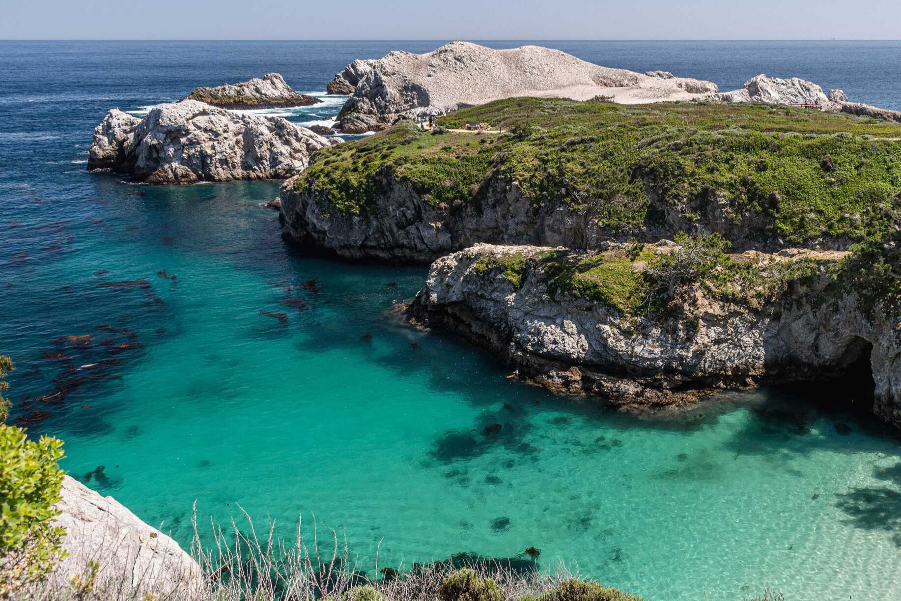 Secrets-Of-California8217s-Point-Lobos-Tide-Pools secrets-of-californias-point-lobos-tide-pools