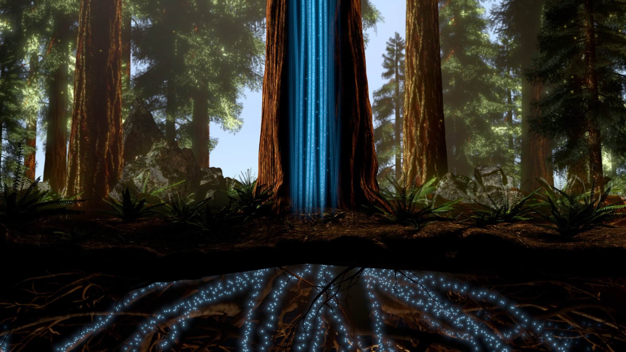 Secrets-Of-California8217s-Redwood-Groves secrets-of-californias-redwood-groves
