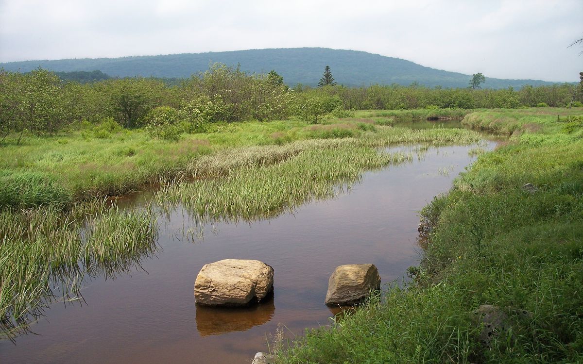 Secrets-Of-Canaan-Valley8217s-Mountain-Springs secrets-of-canaan-valleys-mountain-springs