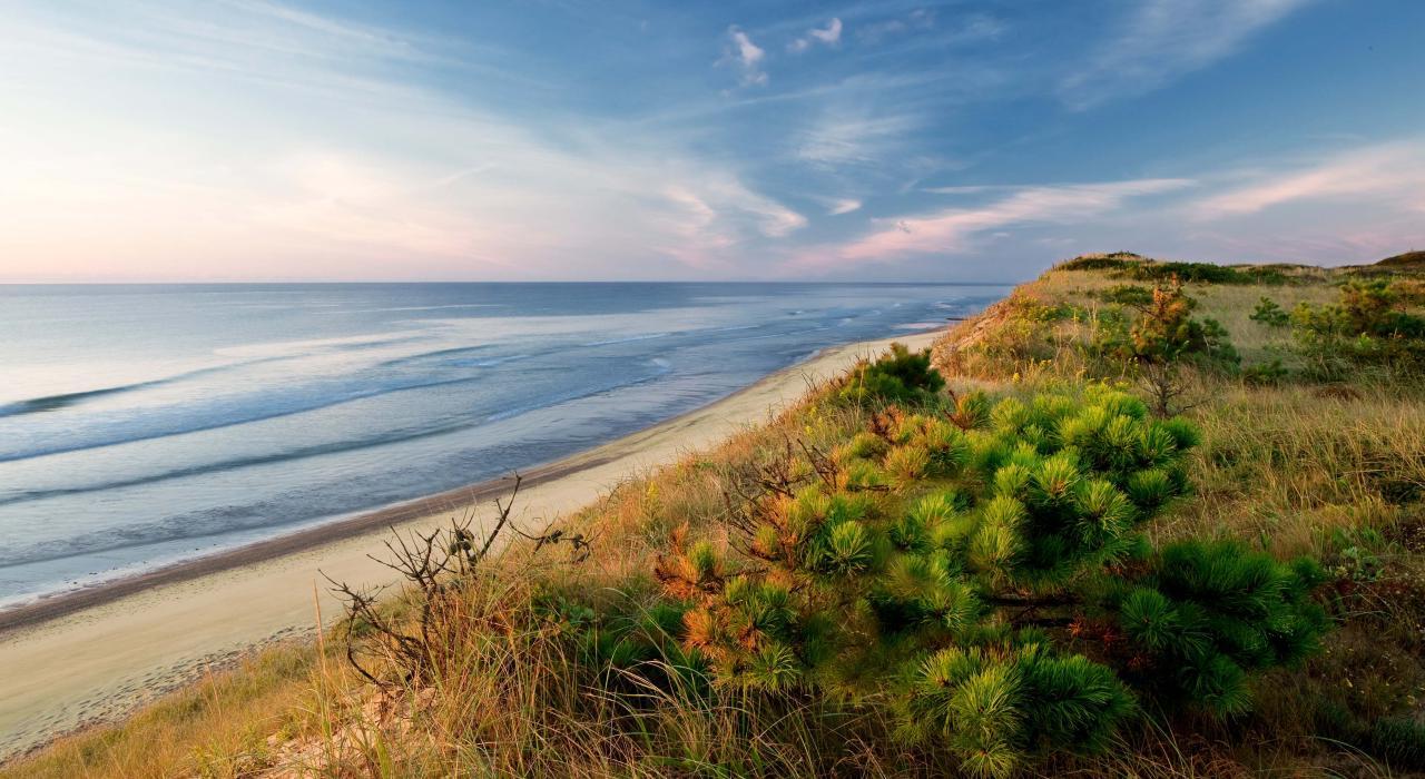 Secrets-Of-Cape-Cod8217s-Coastal-Dunes secrets-of-cape-cods-coastal-dunes