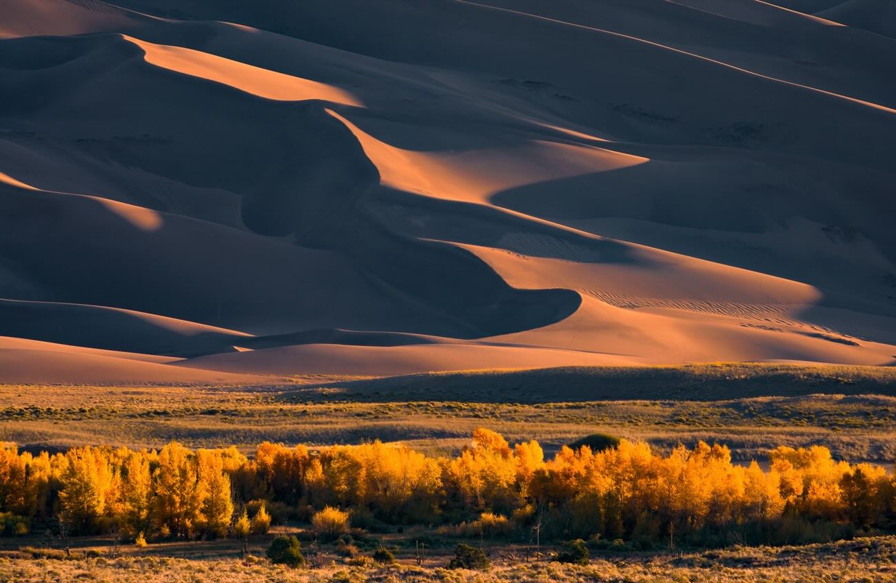 Secrets-Of-Colorado8217s-Great-Sand-Dunes-Cottonwood-Corridors secrets-of-colorados-great-sand-dunes-cottonwood-corridors