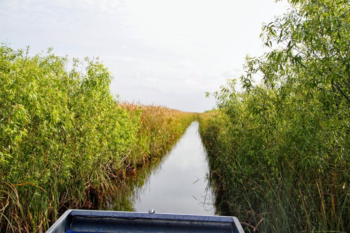 Secrets-Of-Florida8217s-Ancient-Canals secrets-of-floridas-ancient-canals