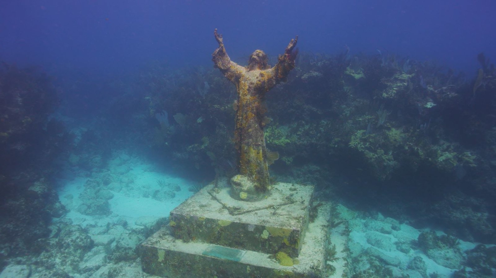 Secrets-Of-Florida8217s-John-Pennekamp-Coral-Grottoes secrets-of-floridas-john-pennekamp-coral-grottoes