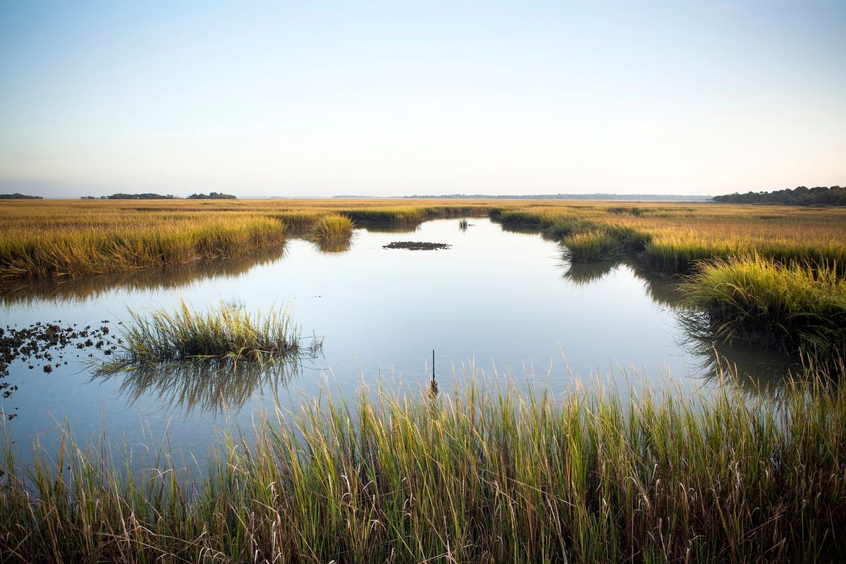 Secrets-Of-Georgia8217s-Altamaha-Salt-Marshes secrets-of-georgias-altamaha-salt-marshes