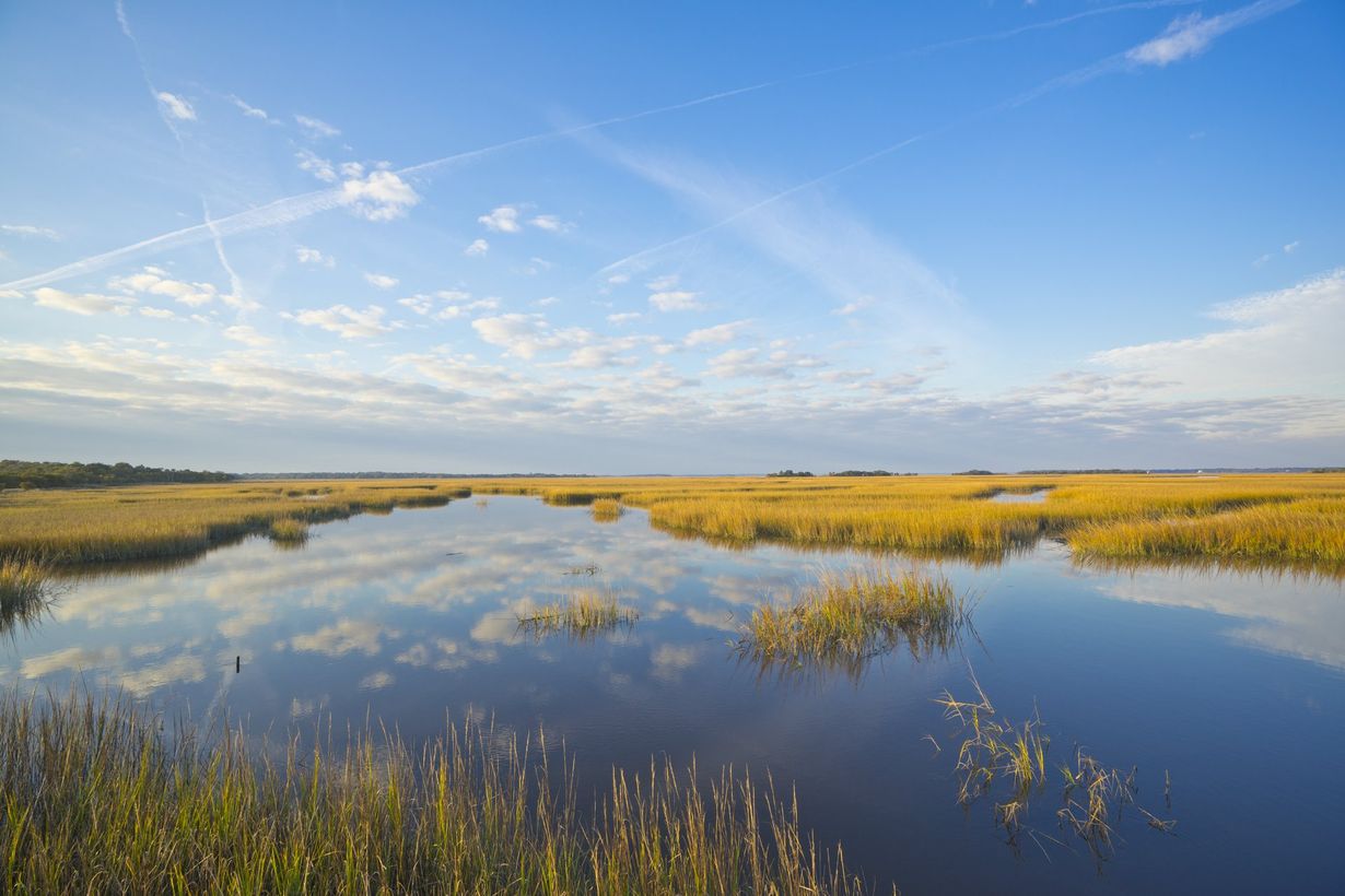 Secrets-Of-Georgia8217s-Cumberland-Island-Marshes secrets-of-georgias-cumberland-island-marshes