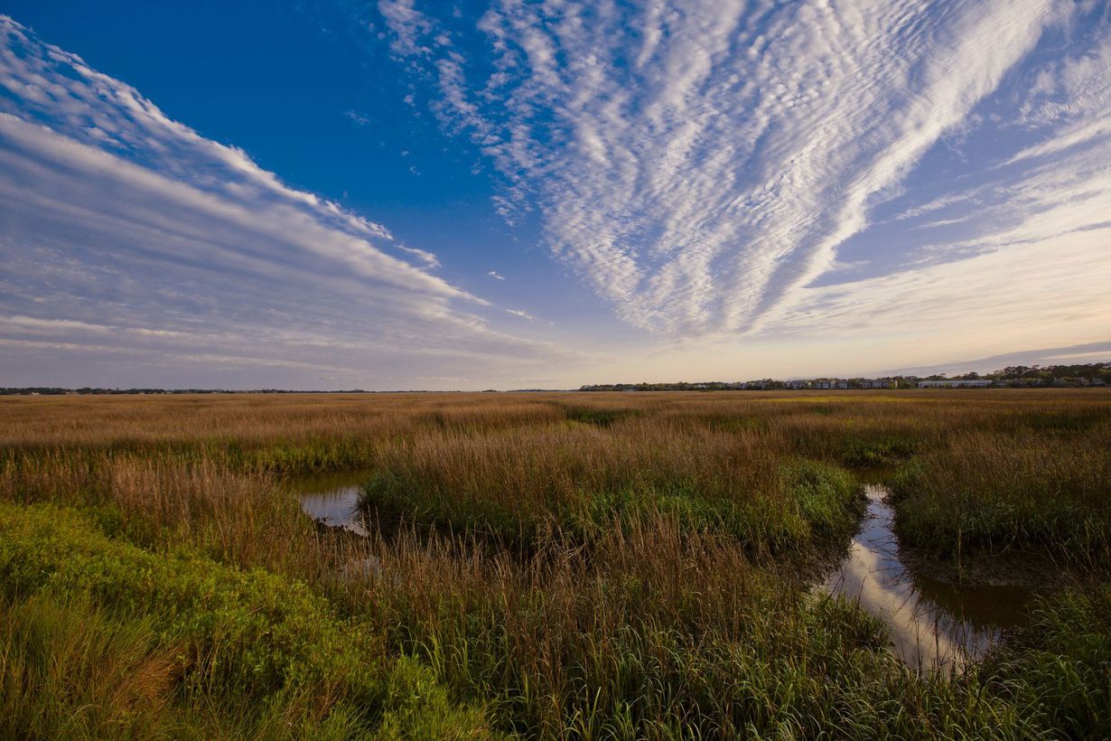 Secrets-Of-Georgia8217s-Rice-Coast-Waterways secrets-of-georgias-rice-coast-waterways