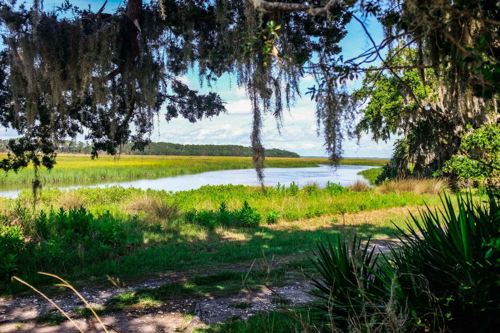 Secrets-Of-Georgia8217s-Sapelo-Island-Marshes secrets-of-georgias-sapelo-island-marshes