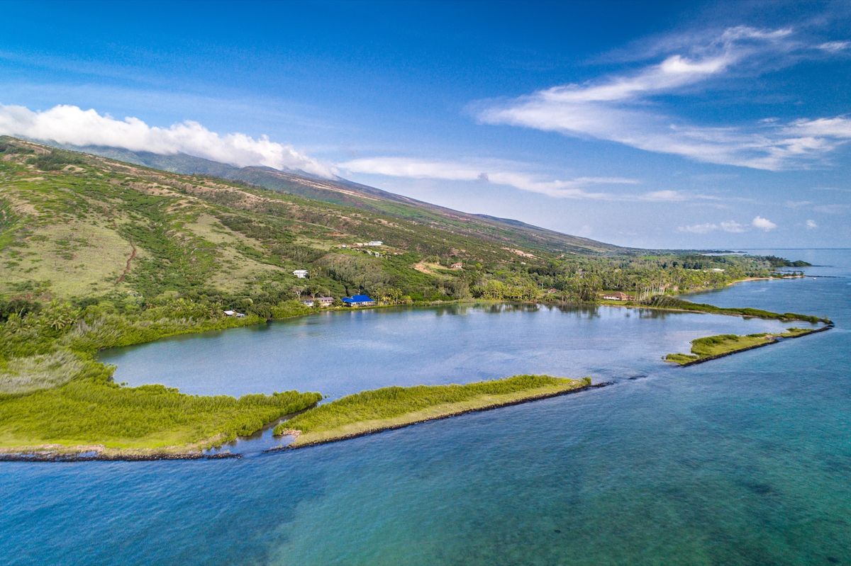 secrets-of-hawaiis-ancient-fishponds