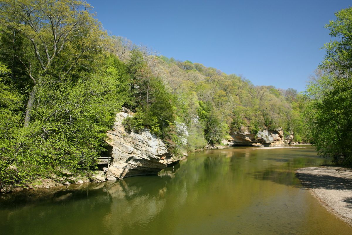 Secrets-Of-Indiana8217s-Turkey-Run-Forest-Hollows secrets-of-indianas-turkey-run-forest-hollows