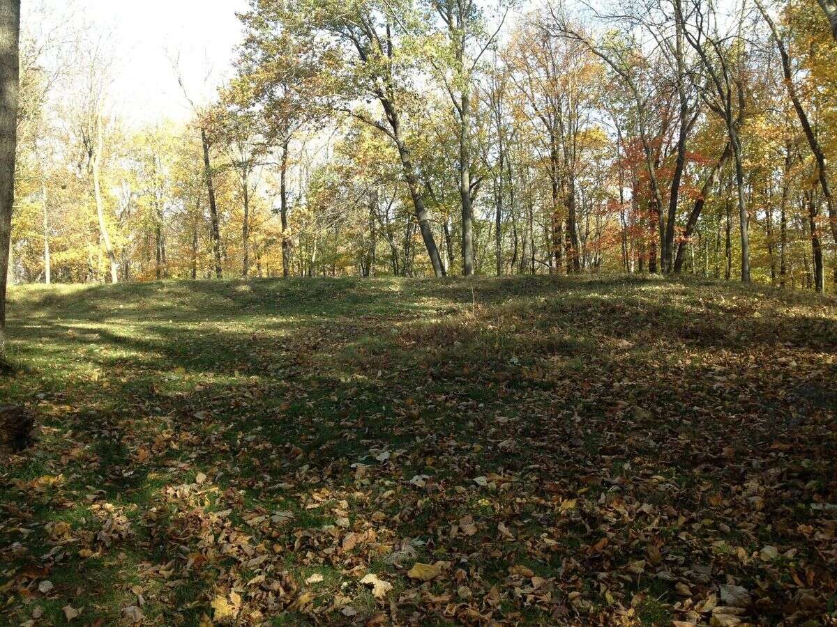 Secrets-Of-Iowa8217s-Ancient-Woodland-Culture secrets-of-iowas-ancient-woodland-culture