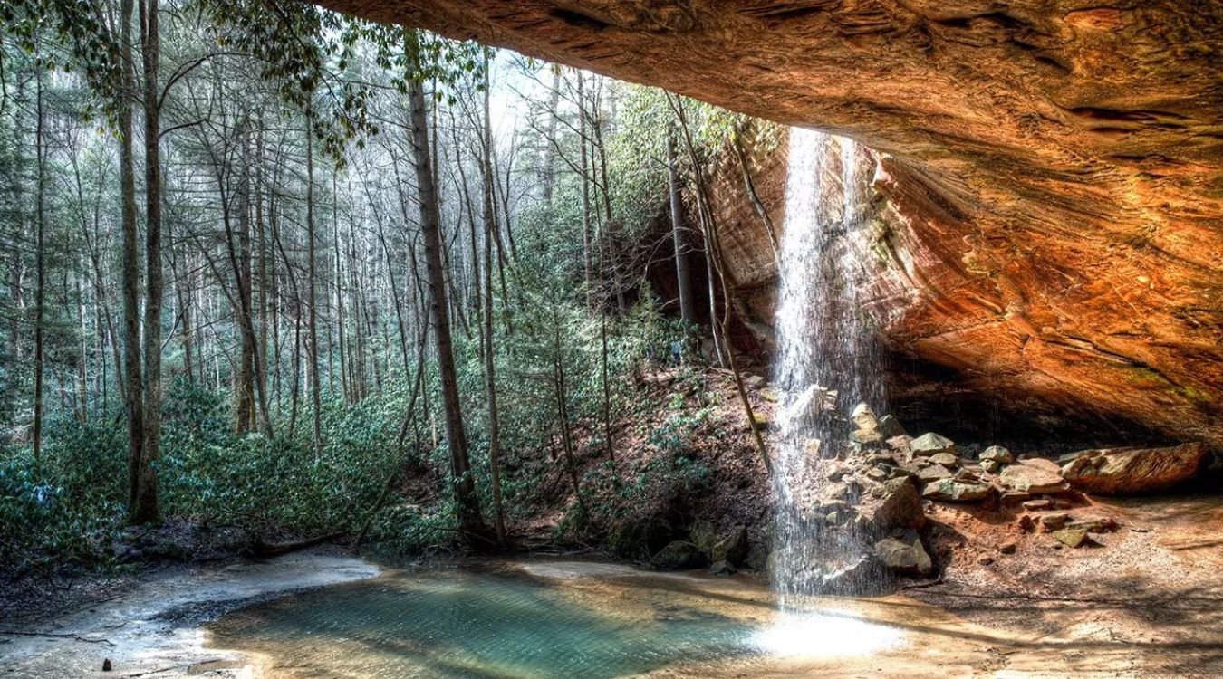 Secrets-Of-Kentucky8217s-Red-River-Gorge-Forests secrets-of-kentuckys-red-river-gorge-forests