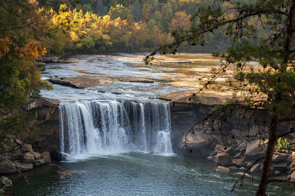 Secrets-Of-Kentucky8217s-Wild-Mountain-Streams secrets-of-kentuckys-wild-mountain-streams