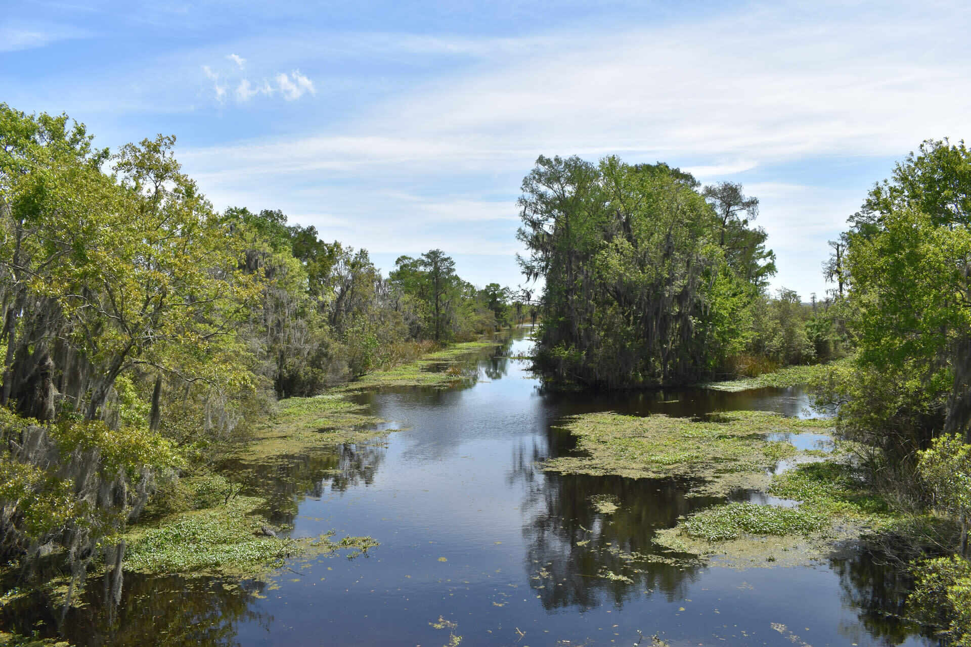 Secrets-Of-Louisiana8217s-Barataria-Marshes secrets-of-louisianas-barataria-marshes