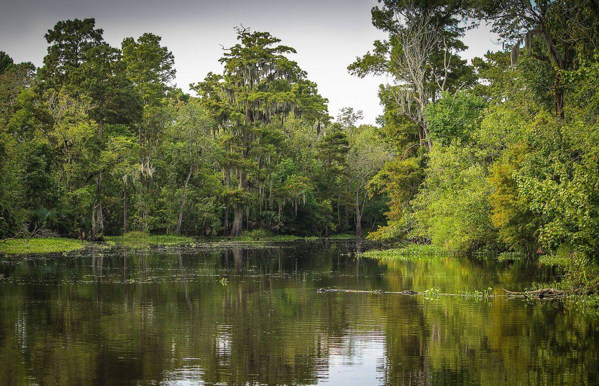 Secrets-Of-Louisiana8217s-Bayou-Trading-Posts secrets-of-louisianas-bayou-trading-posts