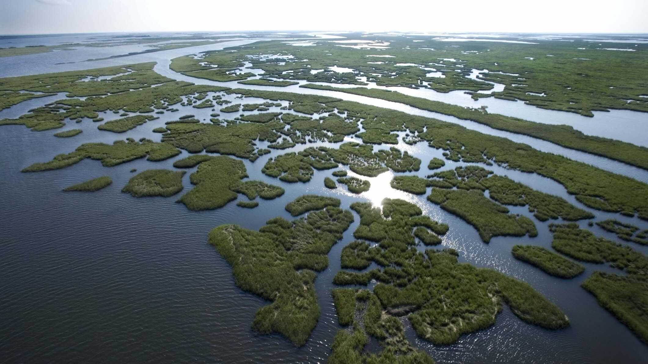 Secrets-Of-Louisiana8217s-Coastal-Marshes secrets-of-louisianas-coastal-marshes