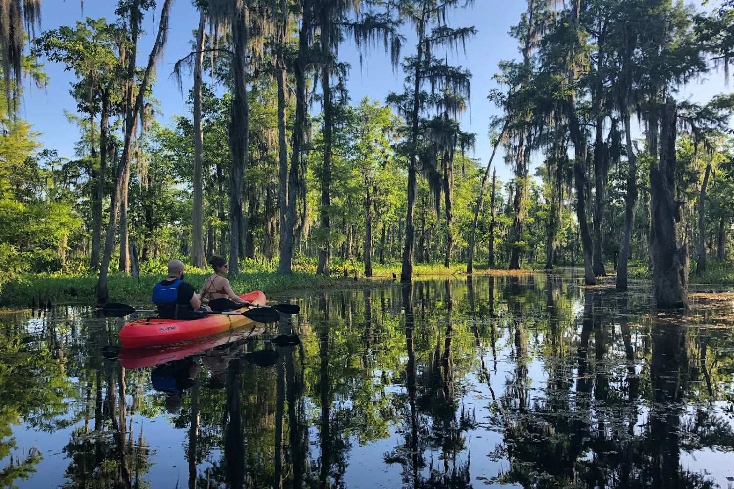 Secrets-Of-Louisiana8217s-Honey-Island-Swamp-Hammocks secrets-of-louisianas-honey-island-swamp-hammocks