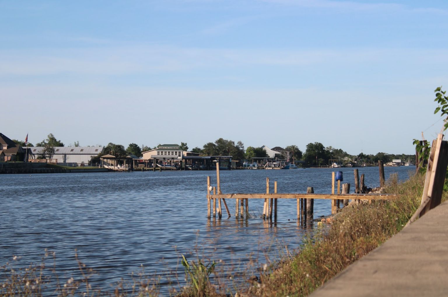 Secrets-Of-Louisiana8217s-Jean-Lafitte-Bayou-Passages secrets-of-louisianas-jean-lafitte-bayou-passages
