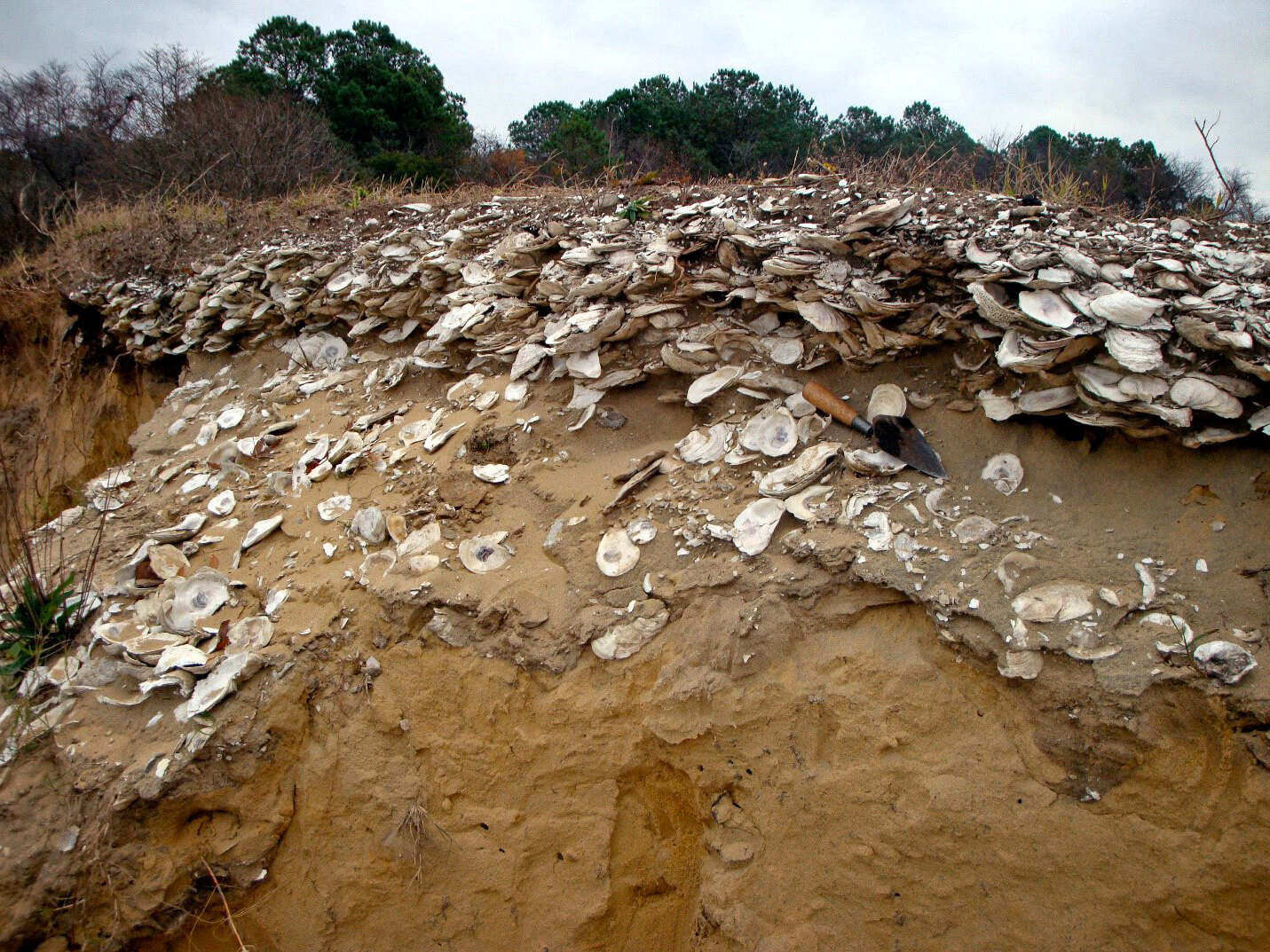 Secrets-Of-Maine8217s-Ancient-Coastal-Shell-Middens secrets-of-maines-ancient-coastal-shell-middens