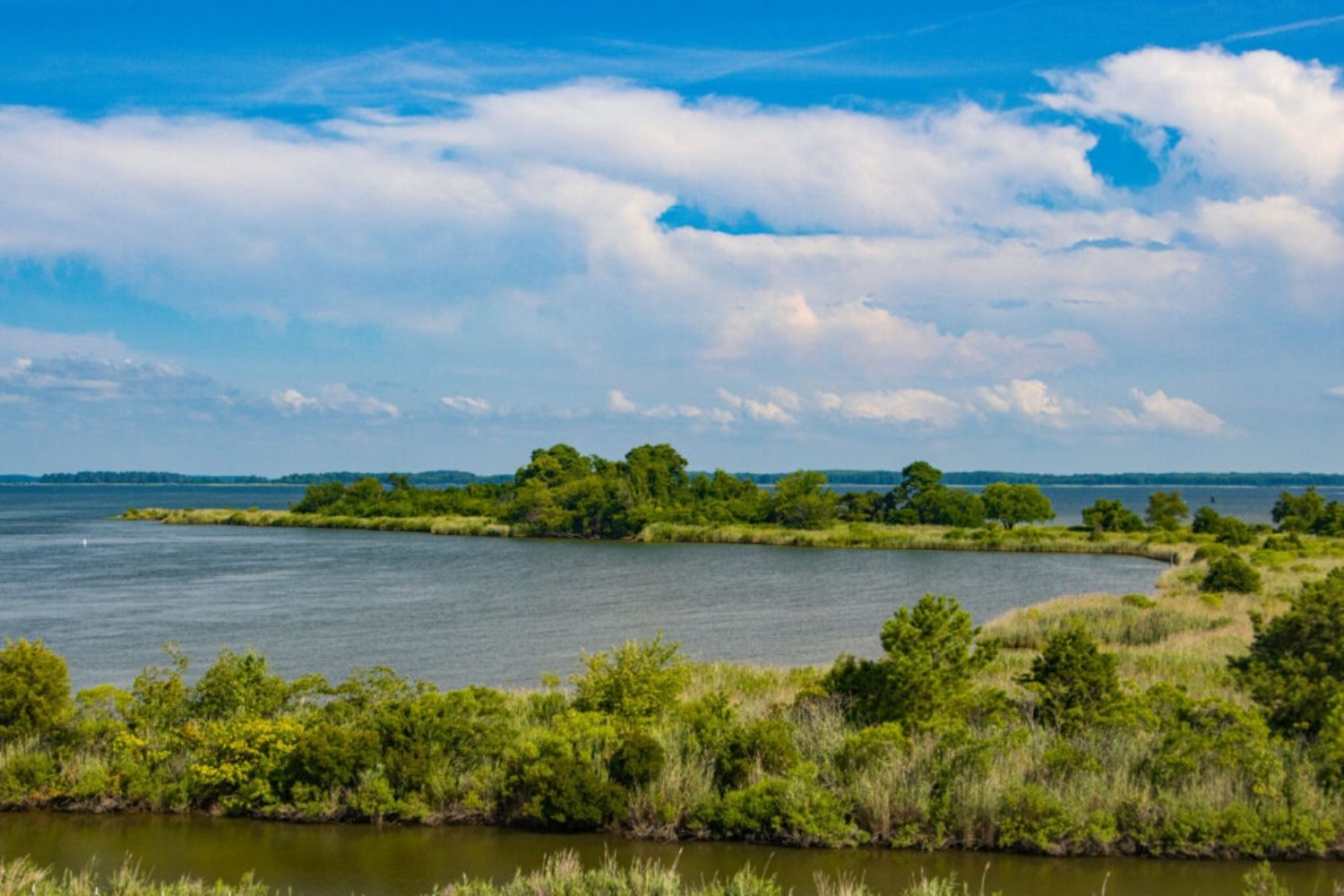 Secrets-Of-Maryland8217s-Chesapeake-Tidal-Islands secrets-of-marylands-chesapeake-tidal-islands