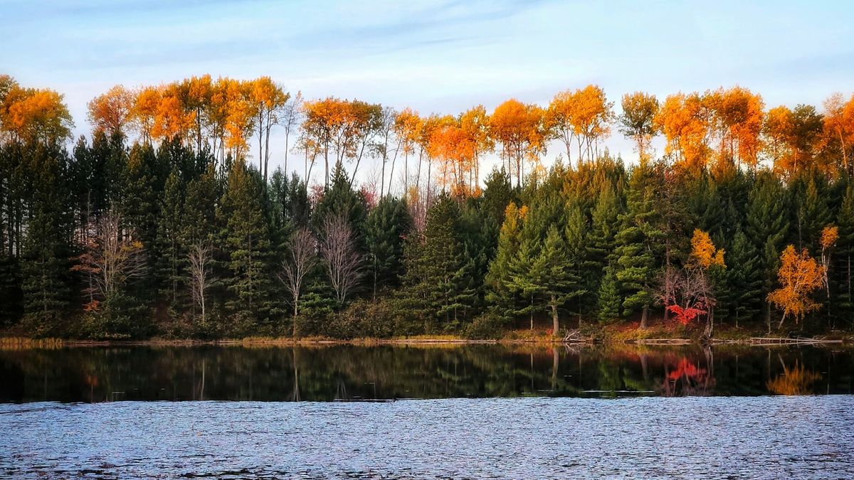 Secrets-Of-Michigan8217s-Ottawa-Forest-Pools secrets-of-michigans-ottawa-forest-pools