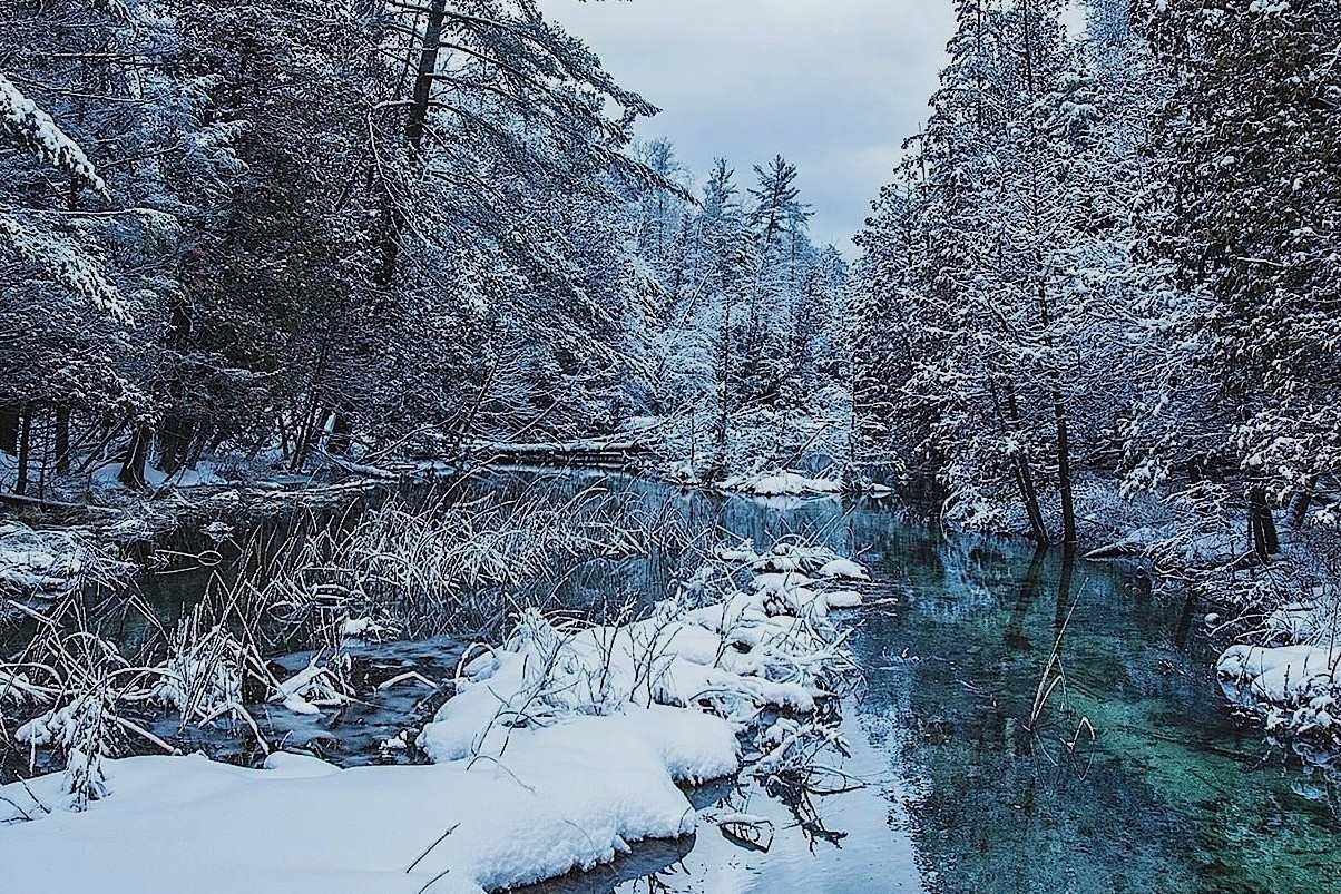 Secrets-Of-Michigan8217s-Winter-Frost-Forests secrets-of-michigans-winter-frost-forests