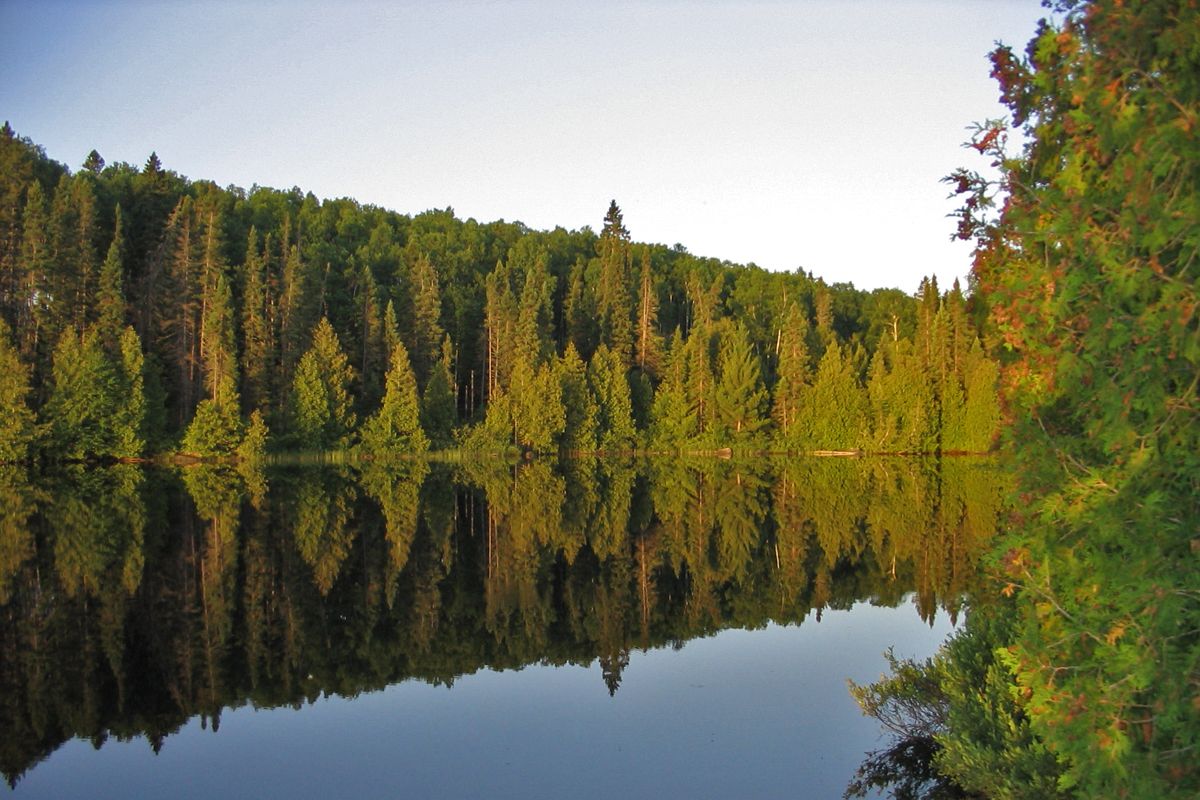 Secrets-Of-Minnesota8217s-Boundary-Waters-Forest-Hollows secrets-of-minnesotas-boundary-waters-forest-hollows