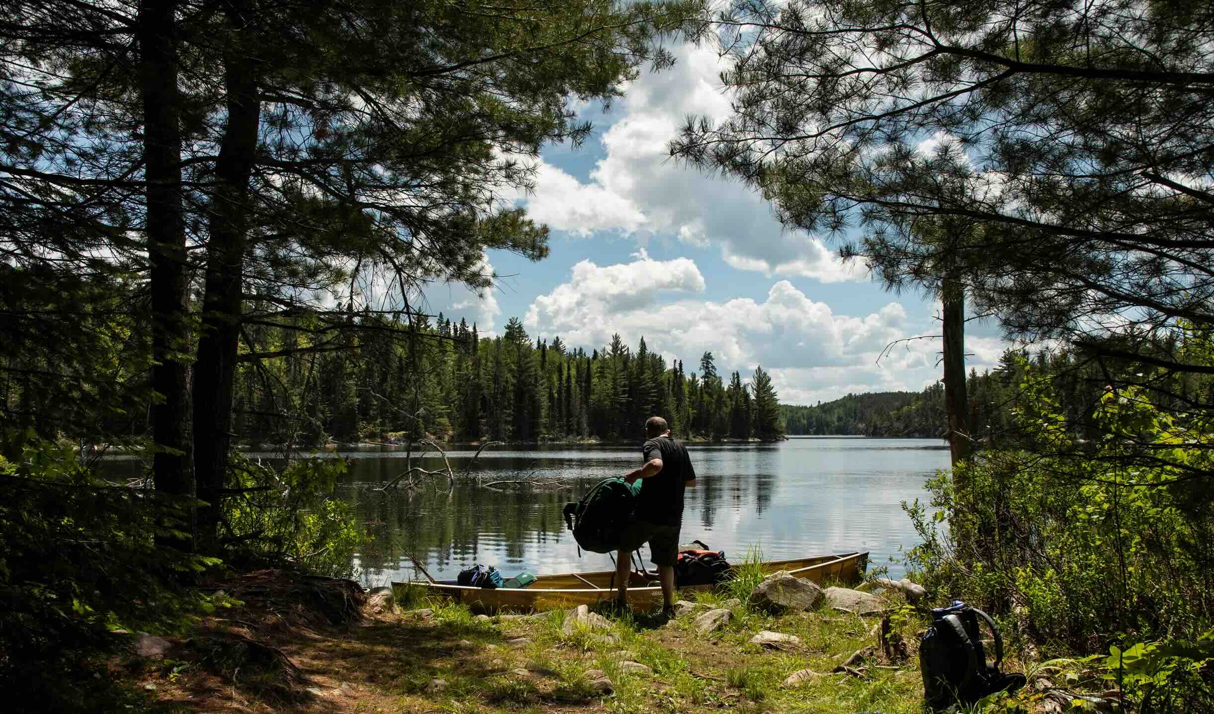 Secrets-Of-Minnesota8217s-Boundary-Waters-Pine-Forests secrets-of-minnesotas-boundary-waters-pine-forests
