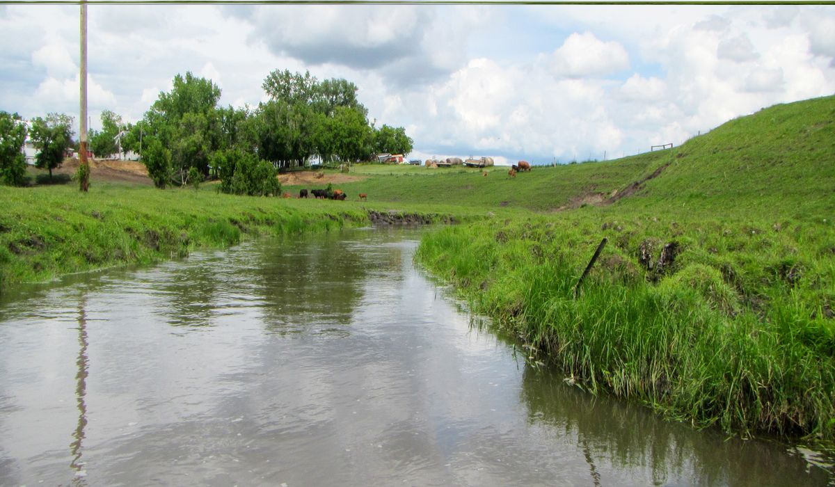 Secrets-Of-Minnesota8217s-Buffalo-River-Wetlands secrets-of-minnesotas-buffalo-river-wetlands