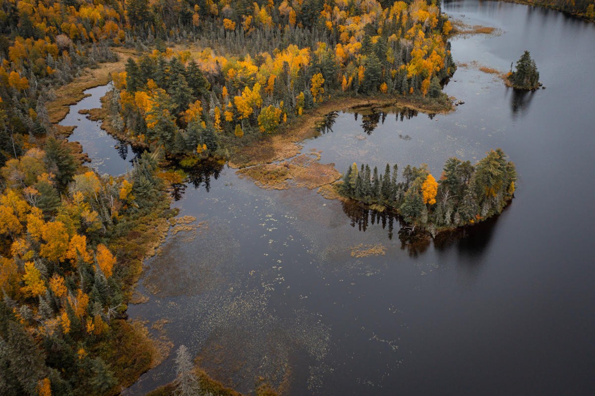 secrets-of-minnesotas-logging-camps-in-superior-national-forest