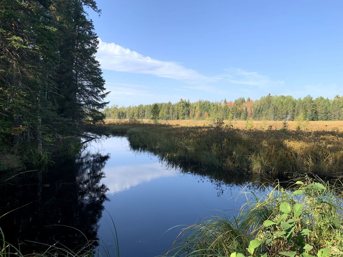Secrets-Of-Minnesota8217s-North-Woods-Lakes secrets-of-minnesotas-north-woods-lakes