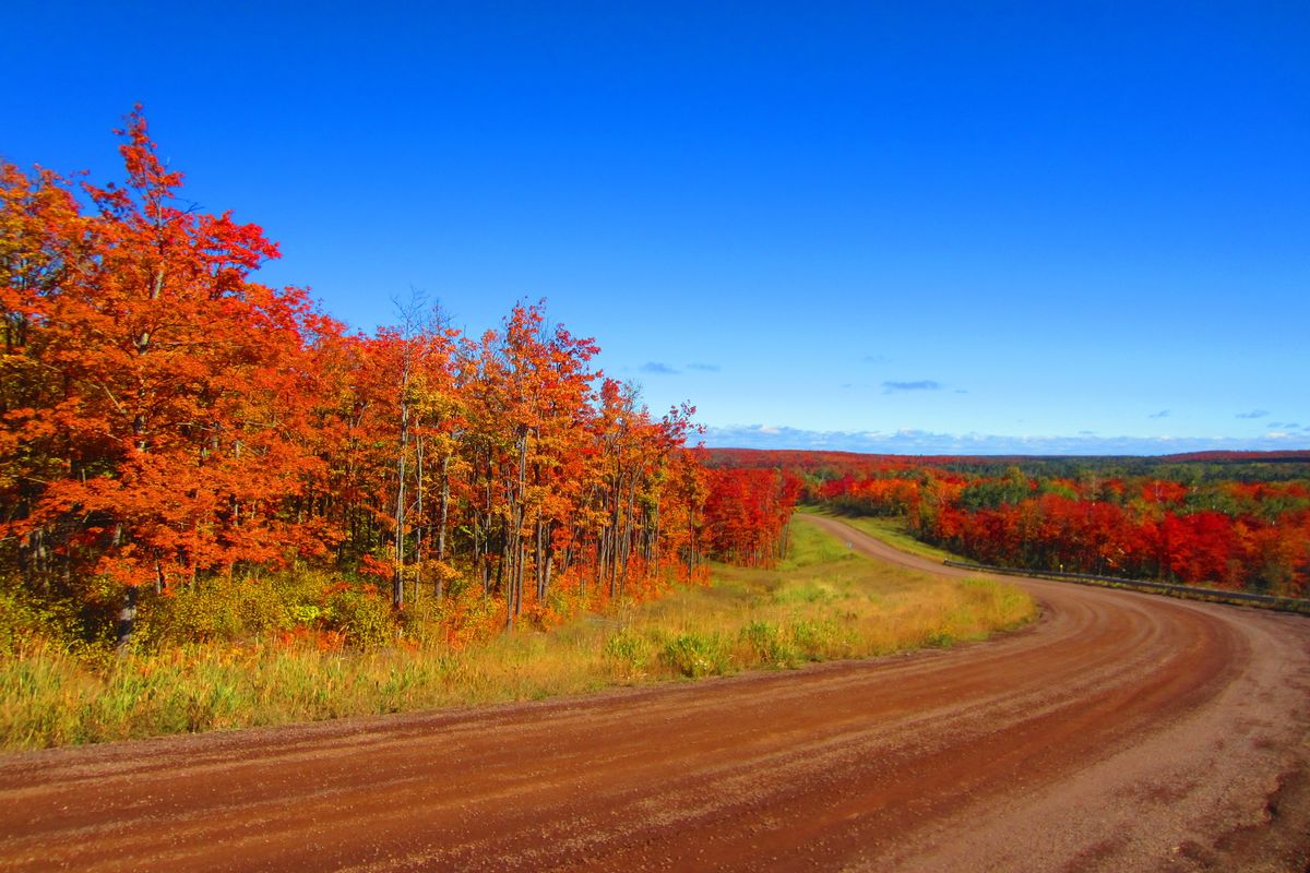 Secrets-Of-Minnesota8217s-Superior-Forest-Canopies secrets-of-minnesotas-superior-forest-canopies