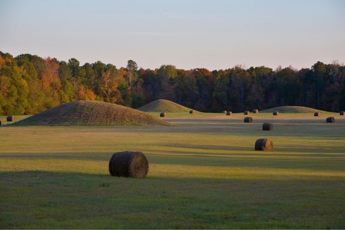Secrets-Of-Mississippi8217s-Ancient-Mound-Builders secrets-of-mississippis-ancient-mound-builders