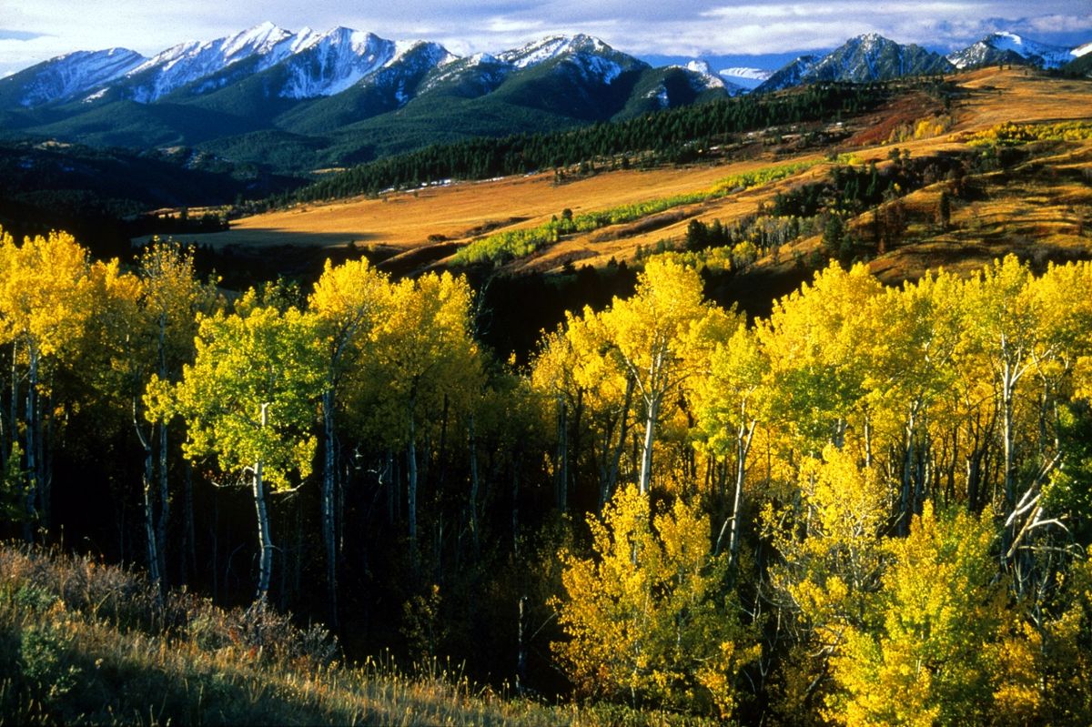 Secrets-Of-Montana8217s-Absaroka-Trade-Routes secrets-of-montanas-absaroka-trade-routes