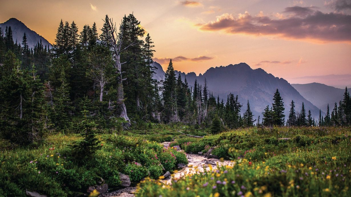 Secrets-Of-Montana8217s-Crazy-Mountains-Meadows secrets-of-montanas-crazy-mountains-meadows