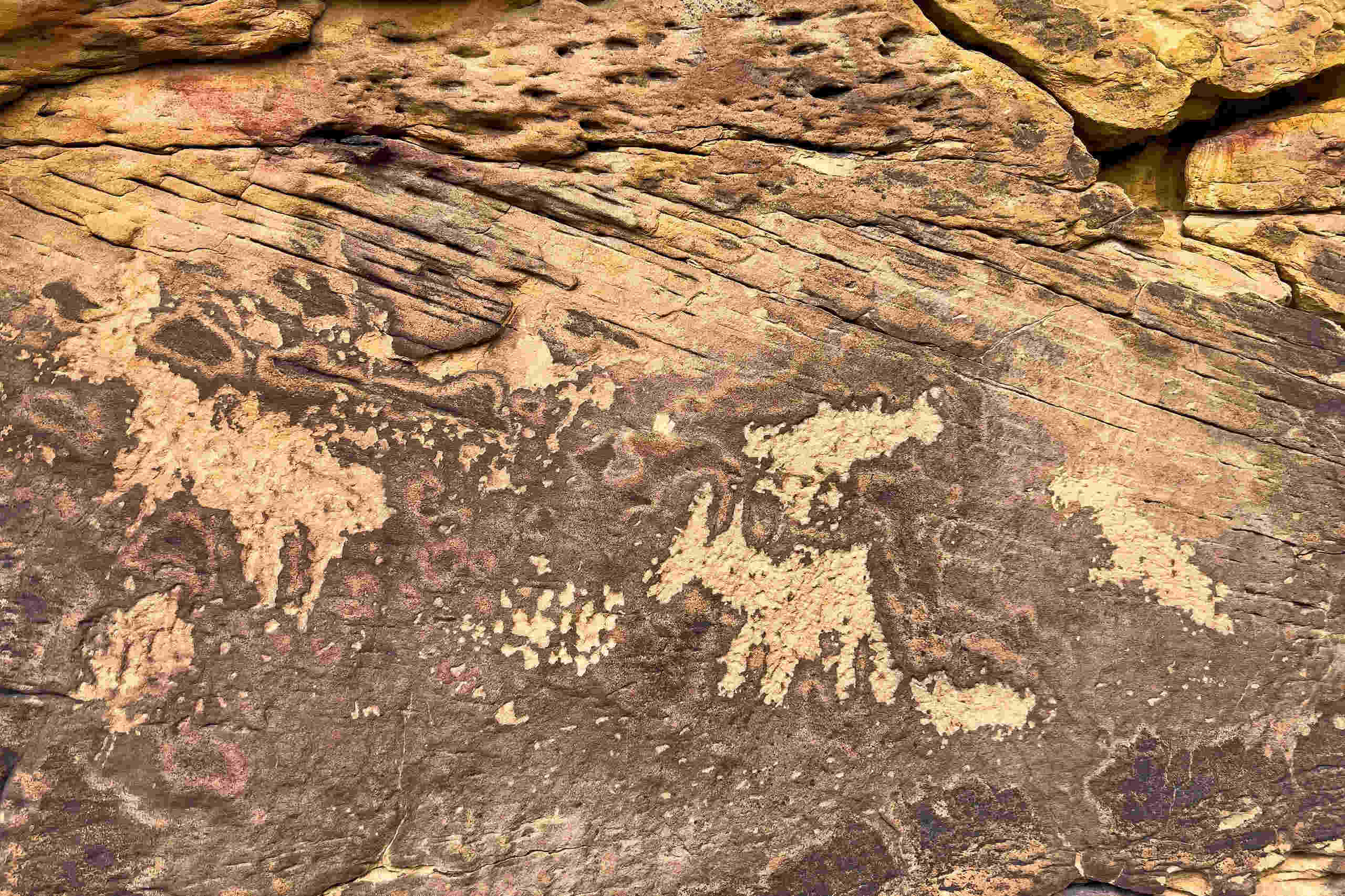 Secrets-Of-Montana8217s-Pryor-Mountains-Rock-Art secrets-of-montanas-pryor-mountains-rock-art
