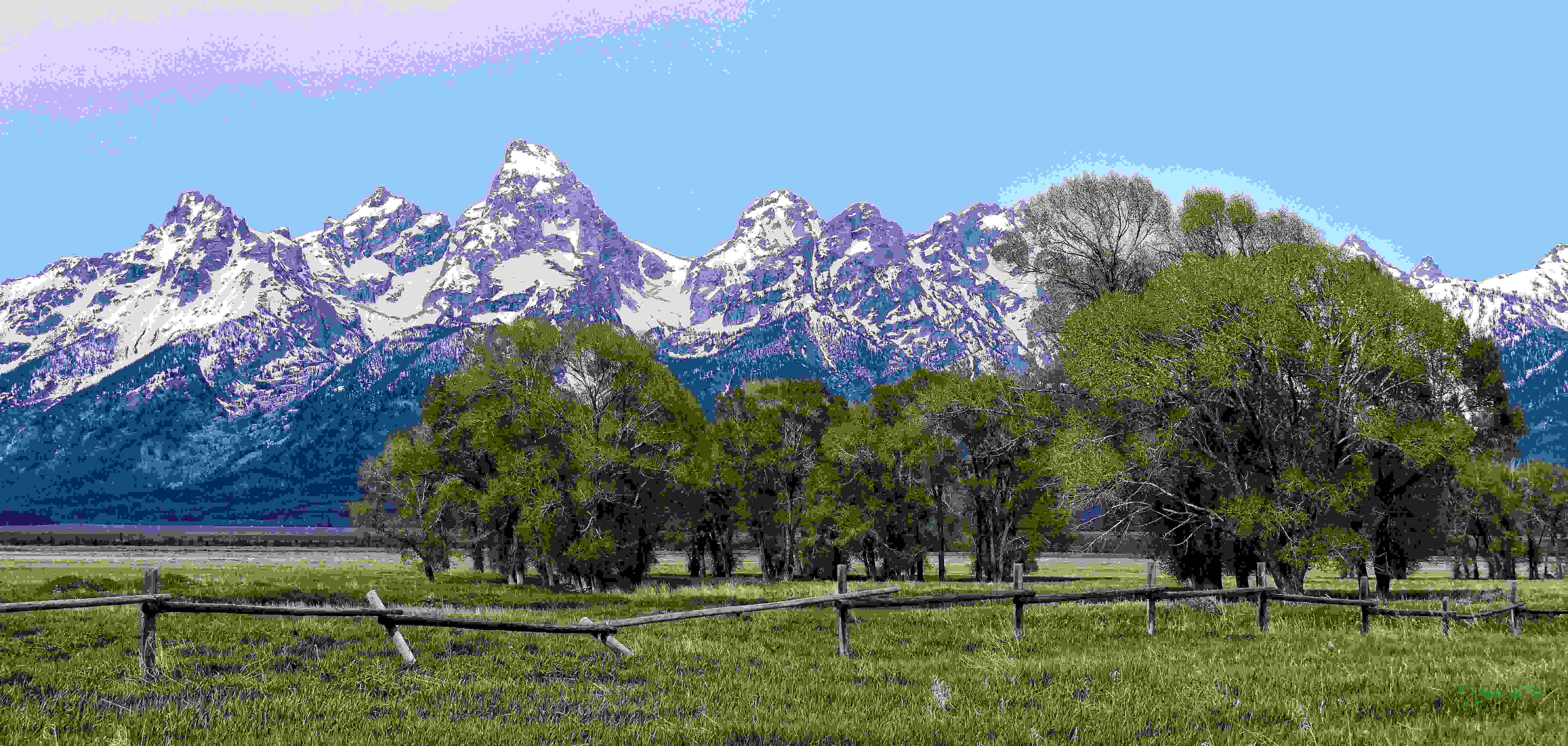 Secrets-Of-Mountain-Bluebird-Meadows-In-Wyoming8217s-Grand-Tetons secrets-of-mountain-bluebird-meadows-in-wyomings-grand-tetons