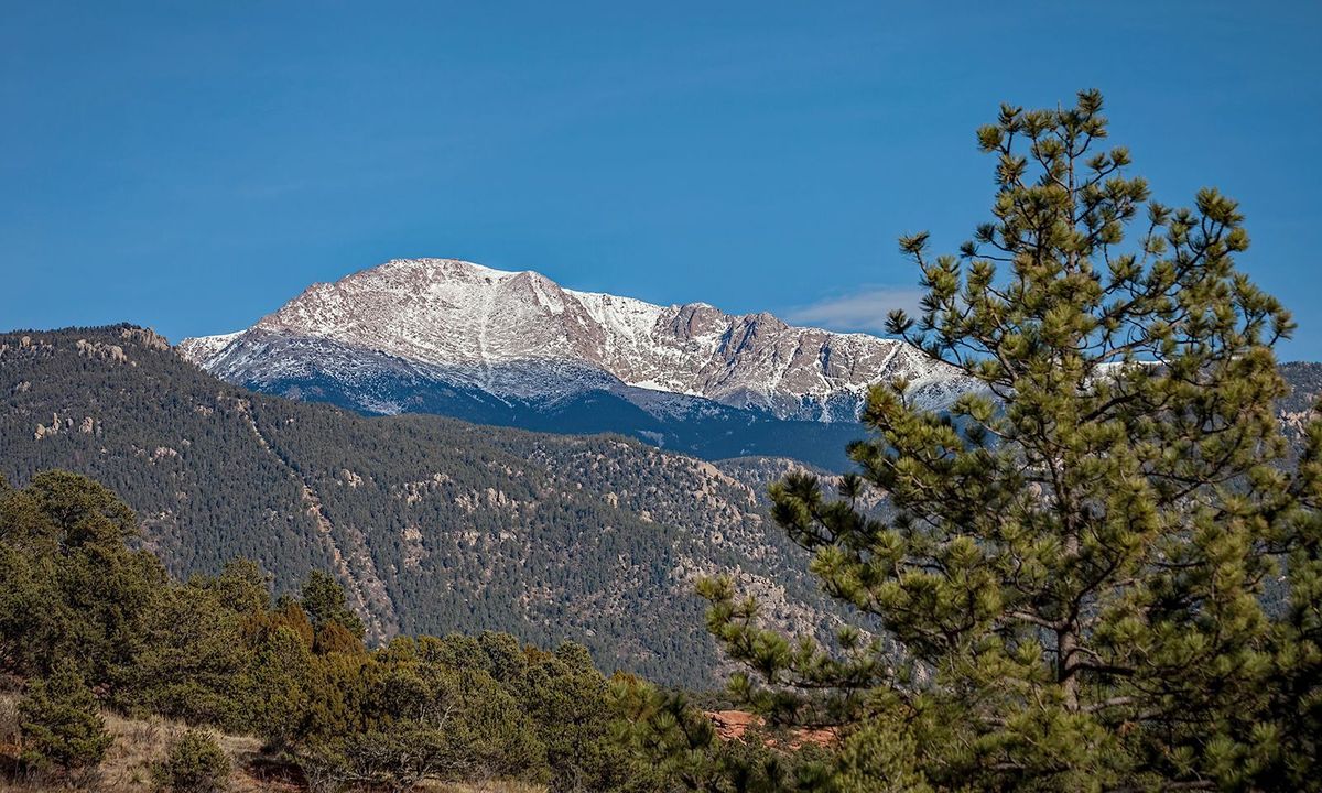 Secrets-Of-Mountain-Lion-Passages-In-Colorado8217s-Front-Range secrets-of-mountain-lion-passages-in-colorados-front-range