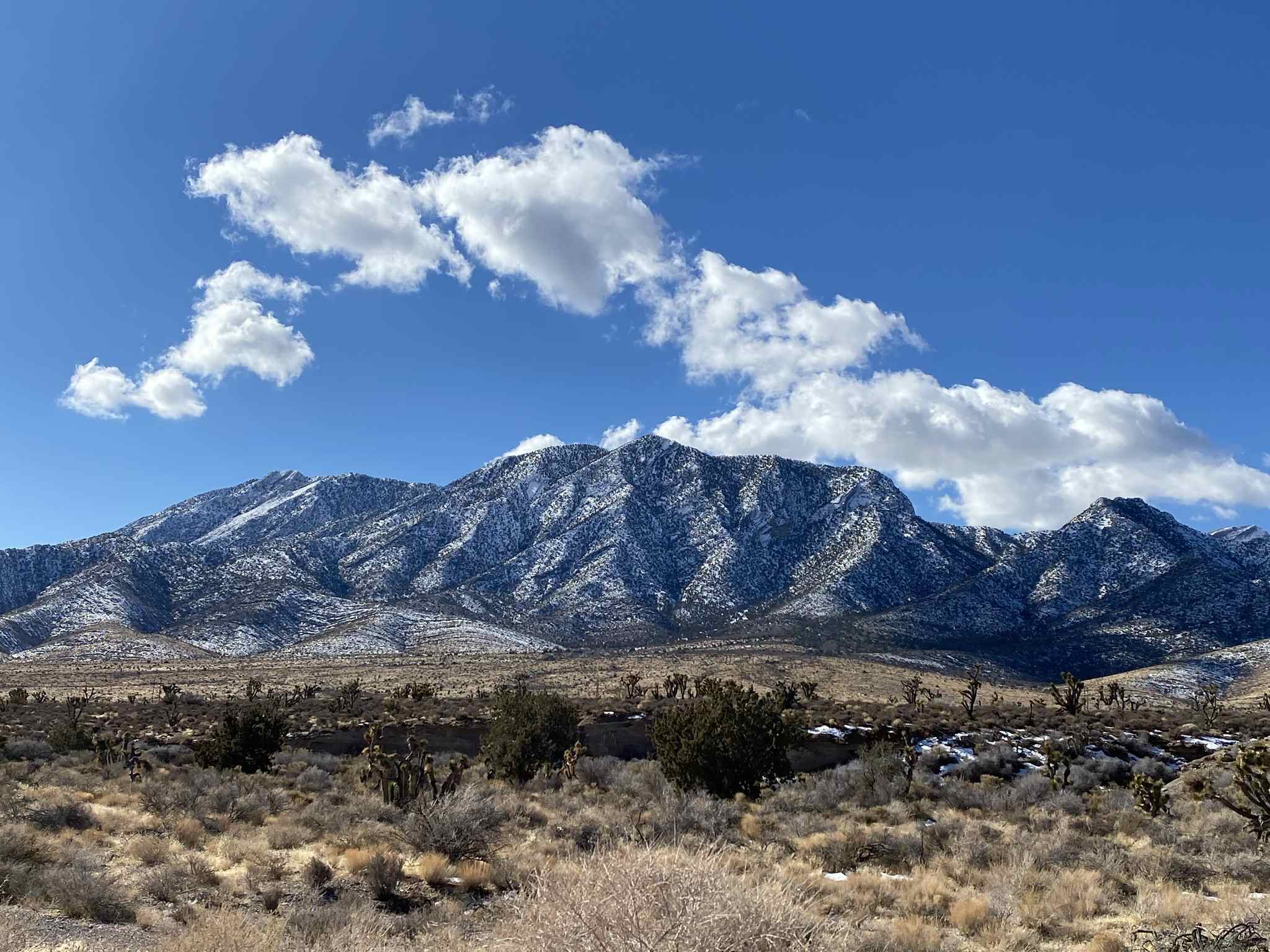 Secrets-Of-Nevada8217s-Spring-Mountains-Springs secrets-of-nevadas-spring-mountains-springs