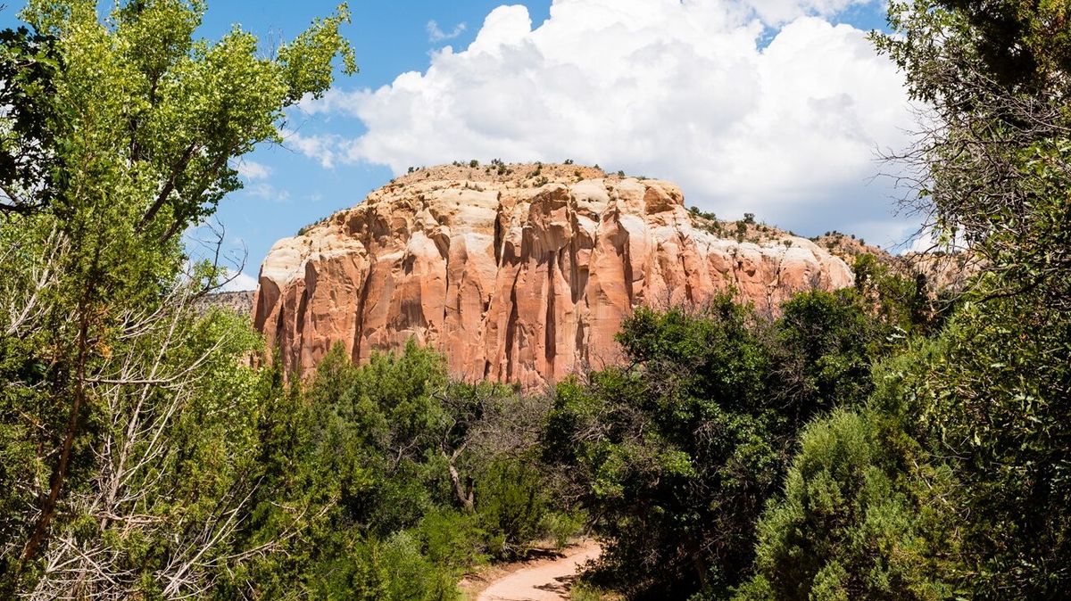 Secrets-Of-New-Mexico8217s-Ghost-Ranch-Forests secrets-of-new-mexicos-ghost-ranch-forests