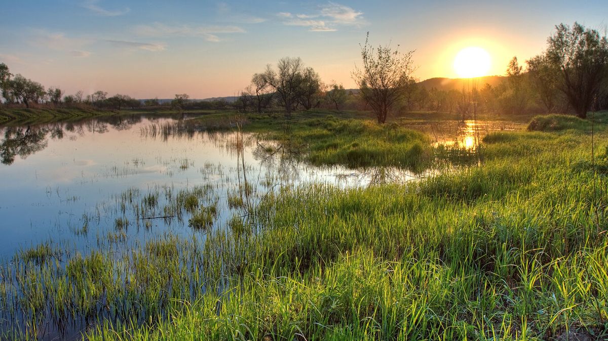 Secrets-Of-North-Carolina8217s-Mountain-Bogs secrets-of-north-carolinas-mountain-bogs