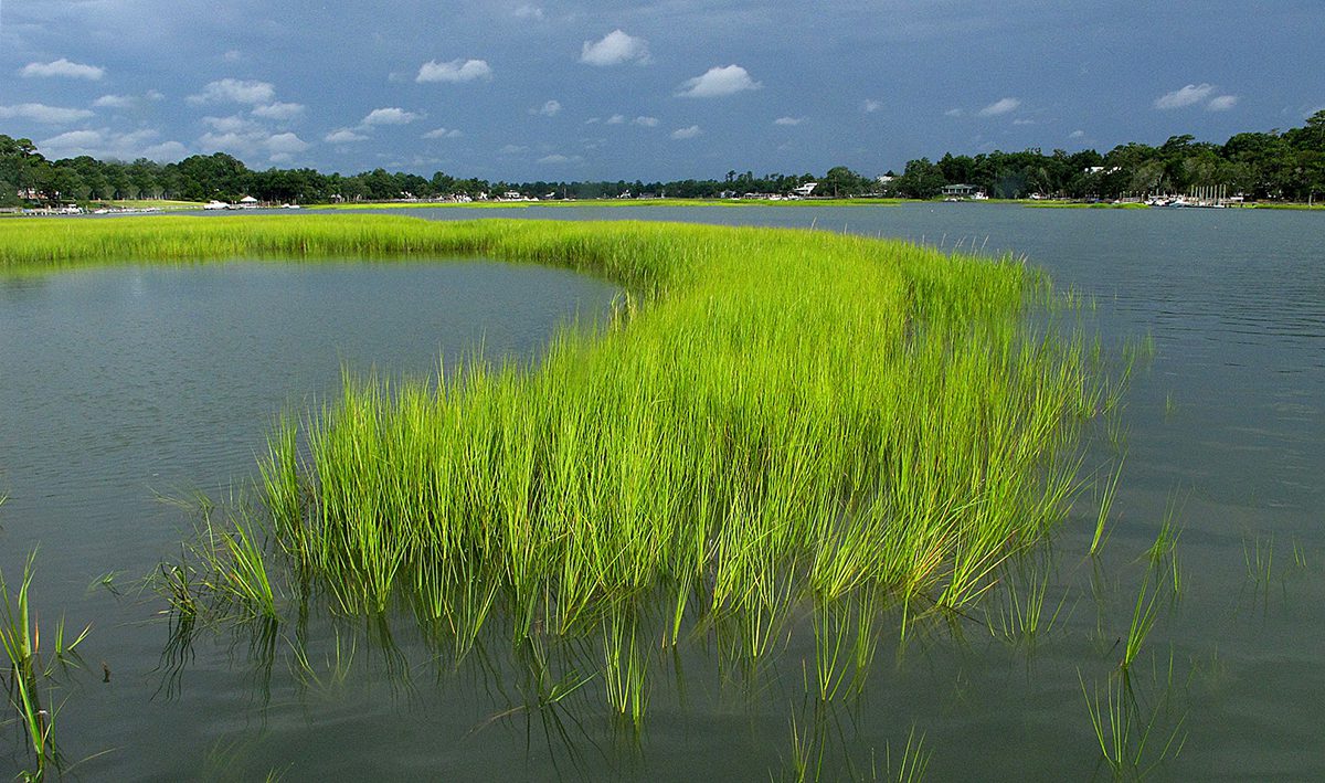 Secrets-Of-North-Carolina8217s-Tidal-Inlets secrets-of-north-carolinas-tidal-inlets