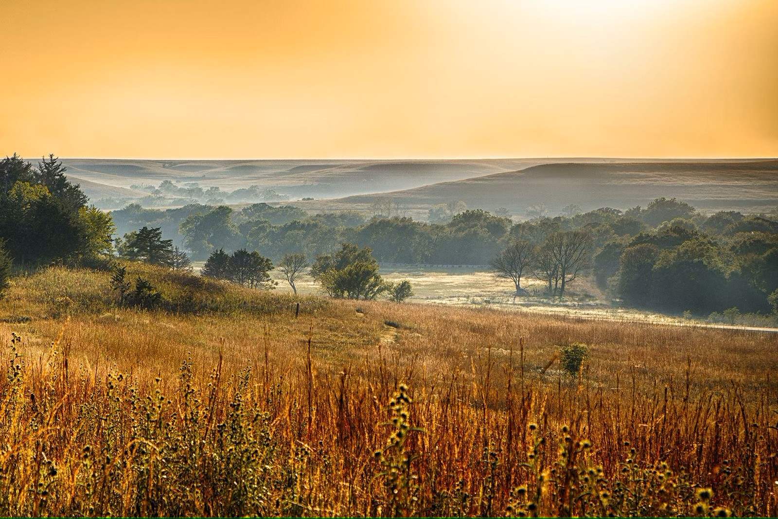 Secrets-Of-Oklahoma8217s-Tallgrass-Prairie-Grasslands secrets-of-oklahomas-tallgrass-prairie-grasslands