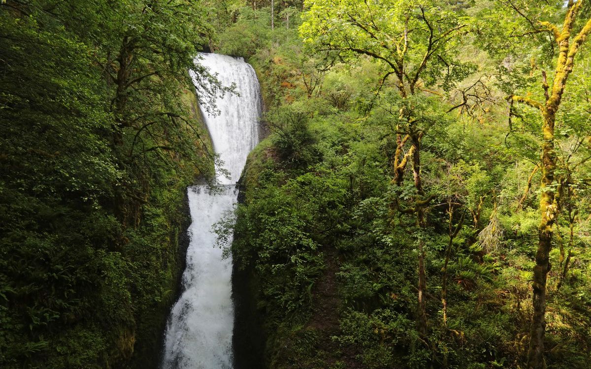 Secrets-Of-Oregon8217s-Misty-Waterfall-Corridors secrets-of-oregons-misty-waterfall-corridors