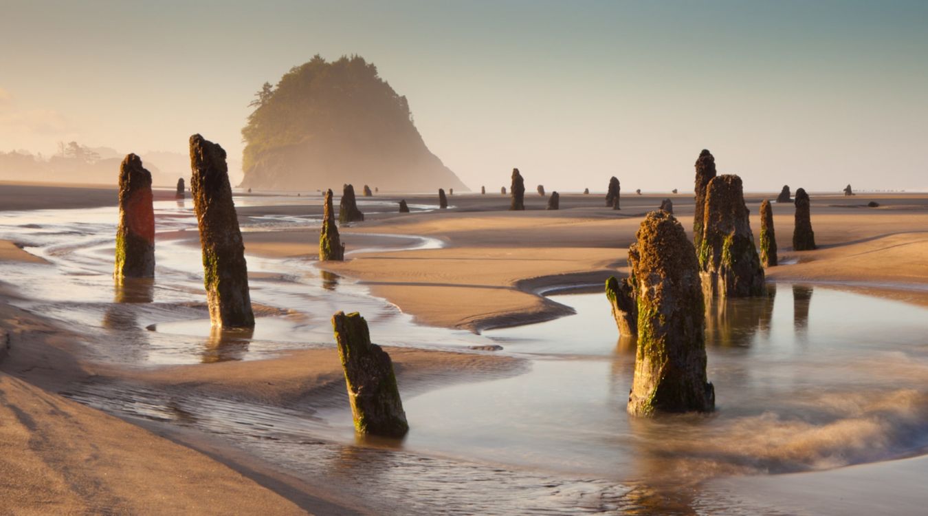 Secrets-Of-Oregon8217s-Neskowin-Beach-Forests secrets-of-oregons-neskowin-beach-forests