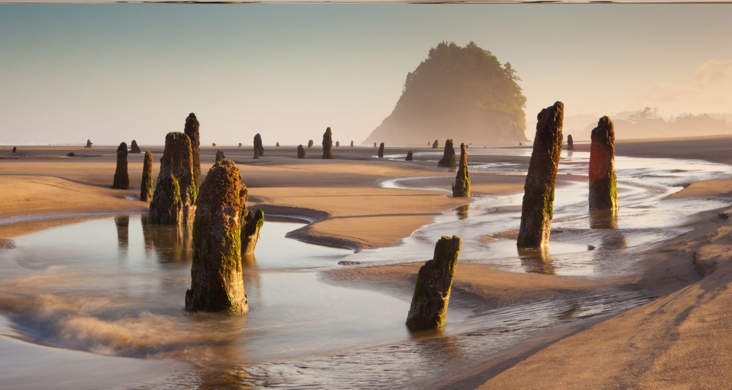Secrets-Of-Oregon8217s-Neskowin-Ghost-Forest-Beaches secrets-of-oregons-neskowin-ghost-forest-beaches
