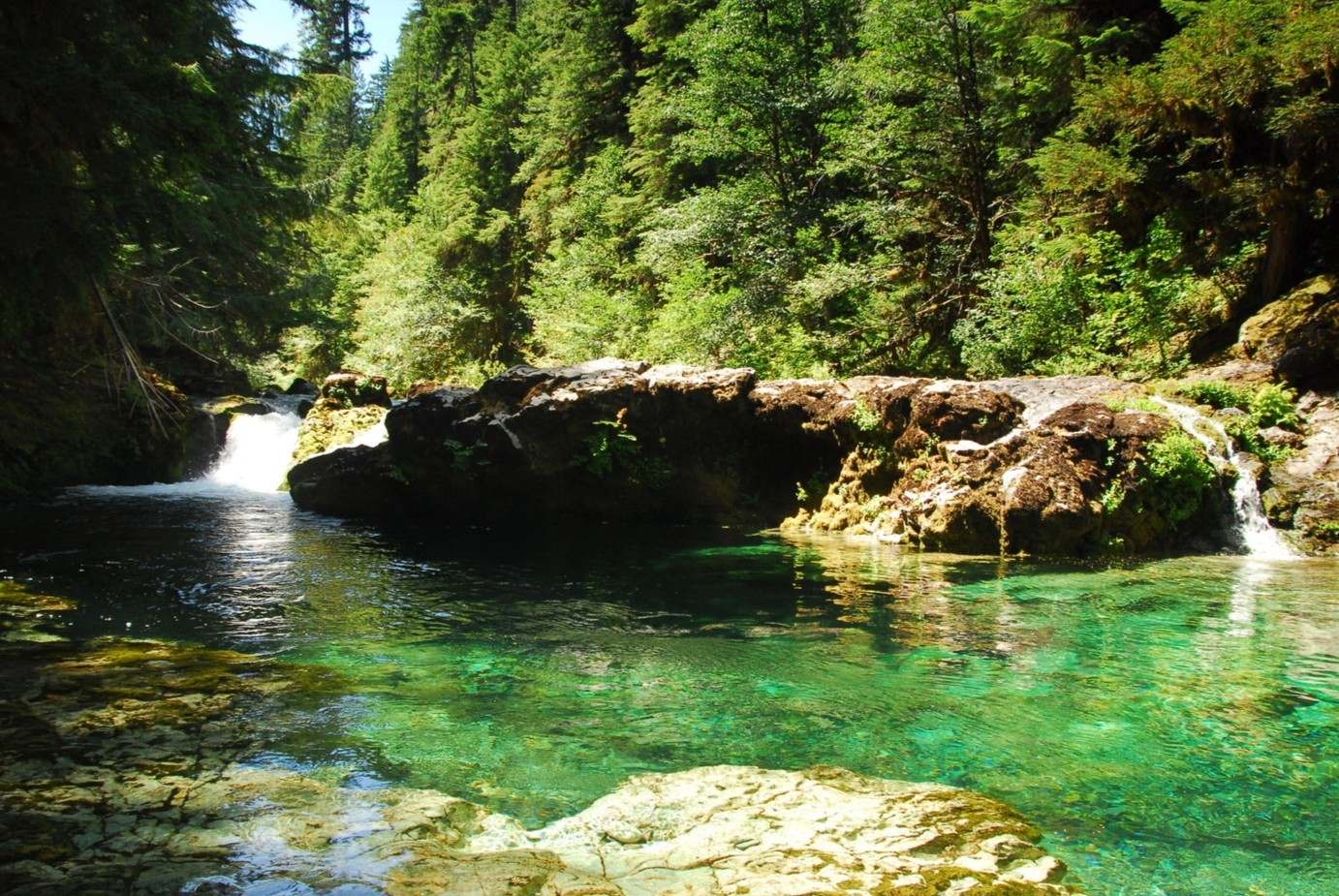 Secrets-Of-Oregon8217s-Opal-Creek-Forest-Chambers secrets-of-oregons-opal-creek-forest-chambers