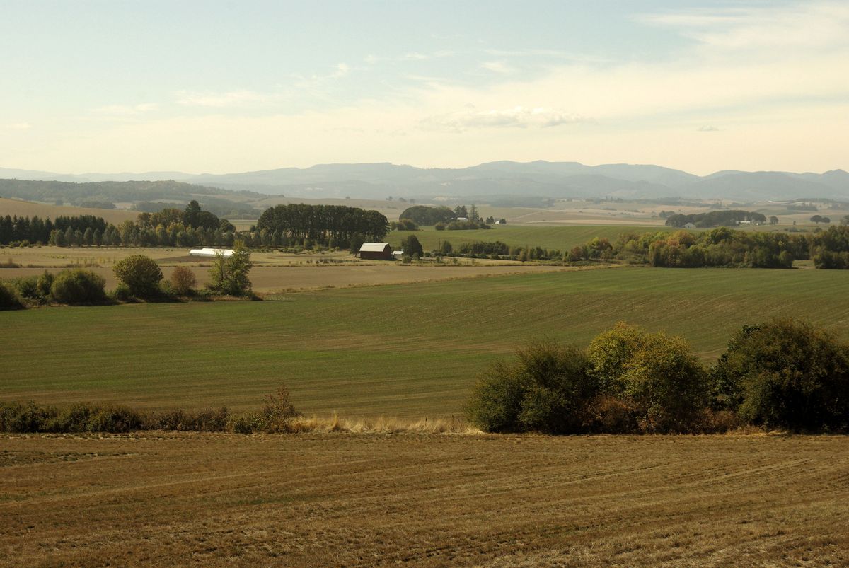 Secrets-Of-Oregon8217s-Willamette-Valley-Trading-Sites secrets-of-oregons-willamette-valley-trading-sites